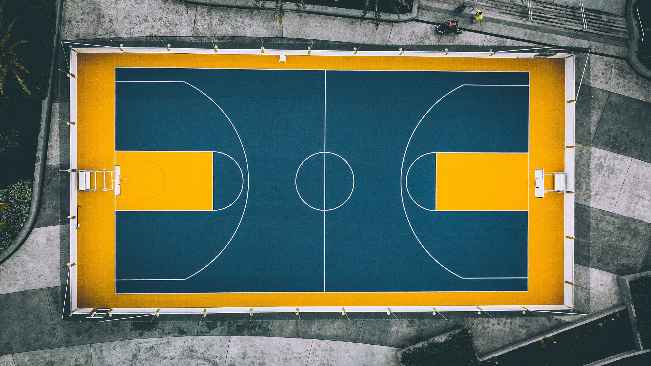 NBA2025-26赛季总决赛抢七大战落幕 新王加冕，nba2026年总决赛